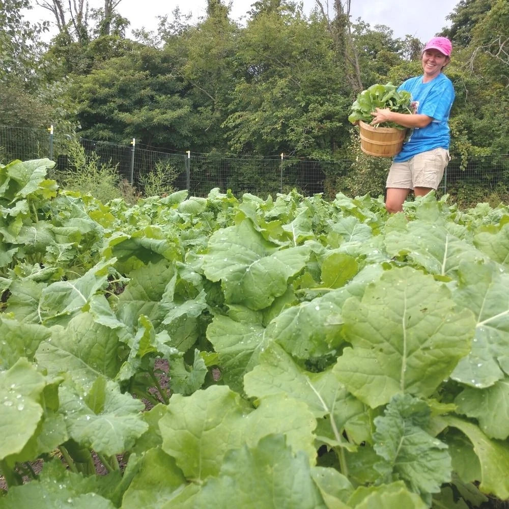 Great Inspirations Farm - Local Farmer - Frozen Garden