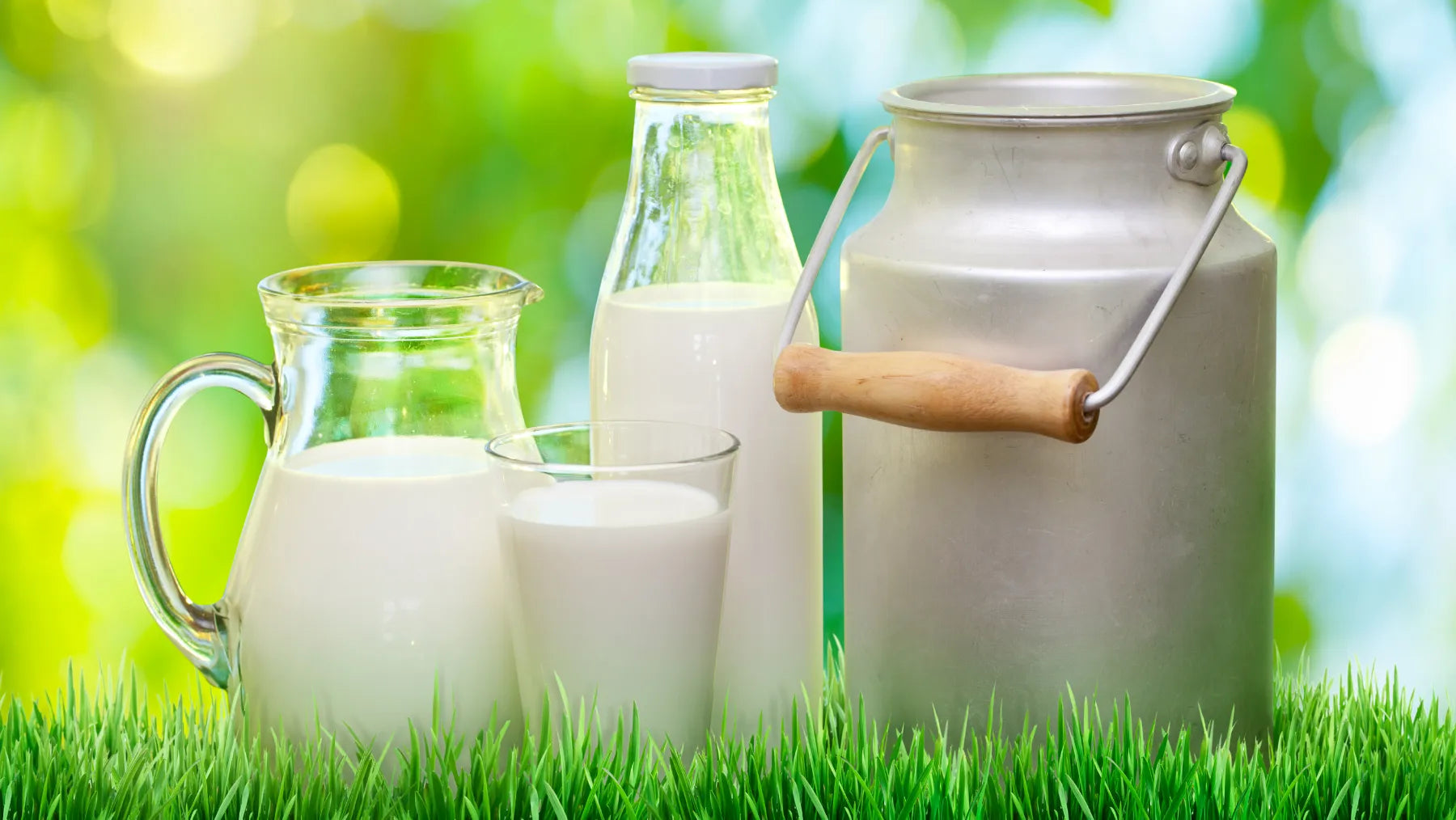 Unveiling the Benefits of Whole Milk – Frozen Garden