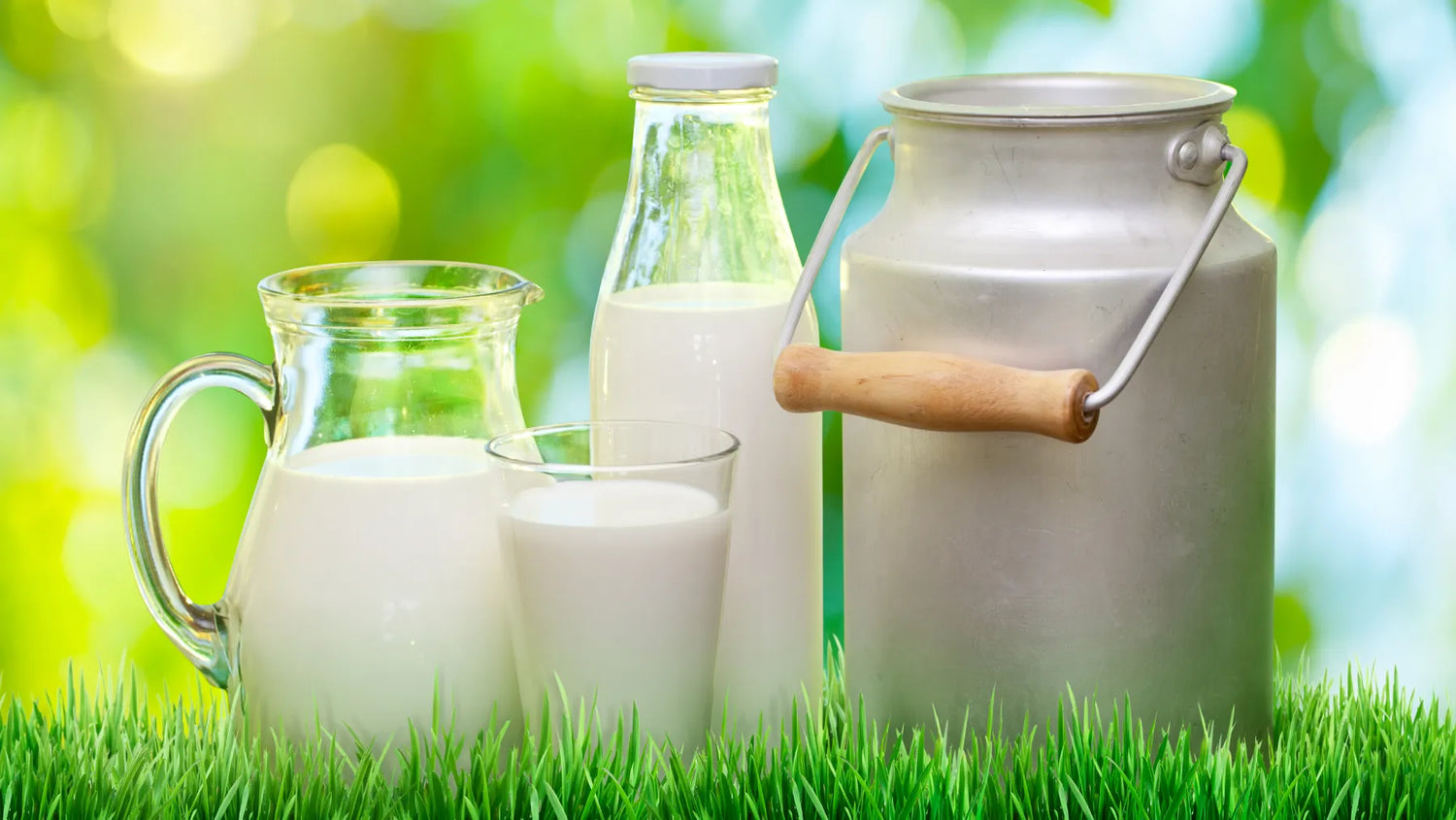 Whole milk, Whole dairy, benefits of whole milk, benefits of drinking whole milk