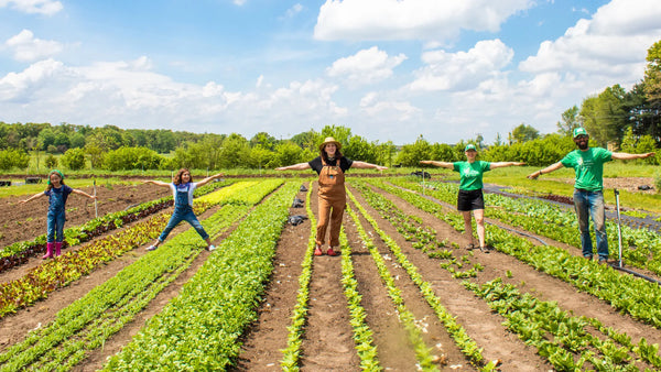 Farm to Freezer: Meet a Frozen Garden Farmer