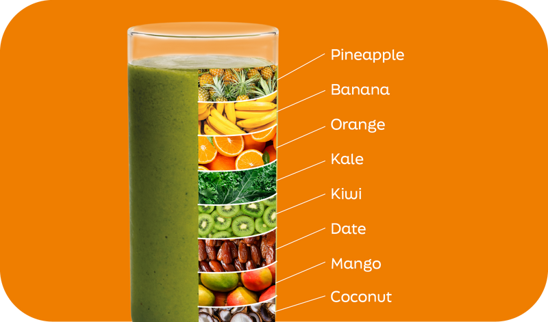 Jungle Breeze smoothie ingredients labeled in layers: pineapple, banana, kiwi, kale, mango, coconut and orange - Frozen Garden.