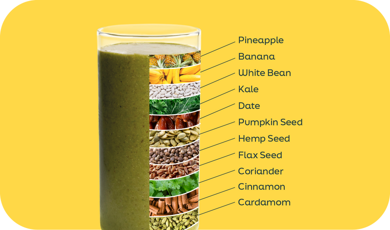 Green Protein smoothie ingredients labeled in layers: pineapple, banana, pumpkin seed, white bean and cinnamon - Frozen Garden.