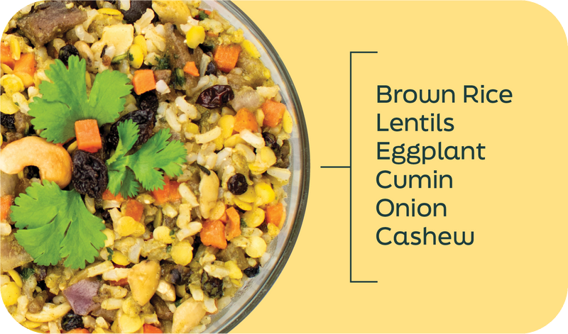 Coconut Curry vegan bowl ingredients labeled in layers: brown rice, lentils, eggplant, carrot, onion, currants, cashew and cilantro - Frozen Garden.