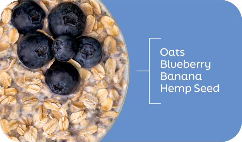 Blueberry Hemp Overnight Oats ingredients labeled in layers: oats, blueberries, hemp seeds, and banana - Frozen Garden.