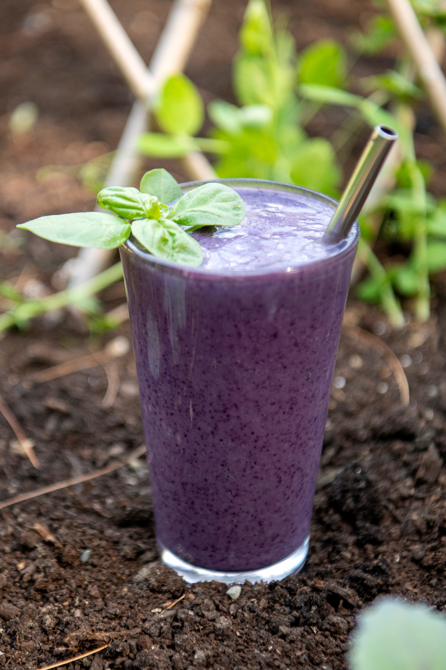 Purple smoothie in a glass with a straw, garnished with a leaf, on a garden background.