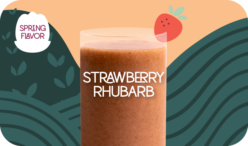 Strawberry Rhubarb Spring Seasonal Smoothie - Frozen Garden