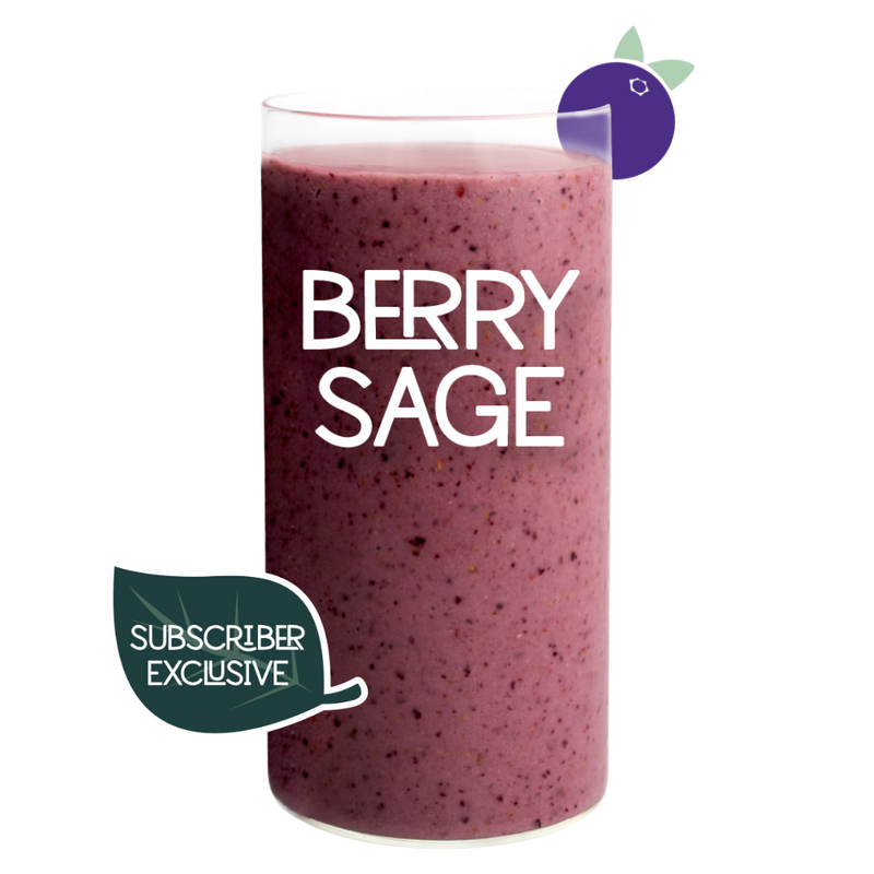 Blended Berry Sage smoothie in glass on clear background - Frozen Garden sage and blueberry smoothie.