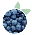 Blueberries used in Frozen Garden's frozen smoothie packs