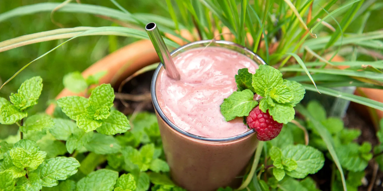 A raspberry smoothie with a metal straw and mint garnish, sitting among fresh herbs in a garden.