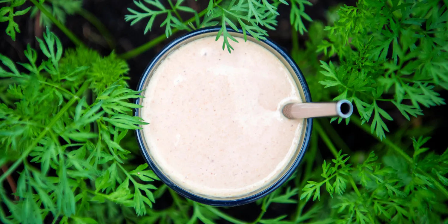 Overhead shot of a creamy smoothie with a metal straw, nestled among fresh green carrot leaves in a garden.