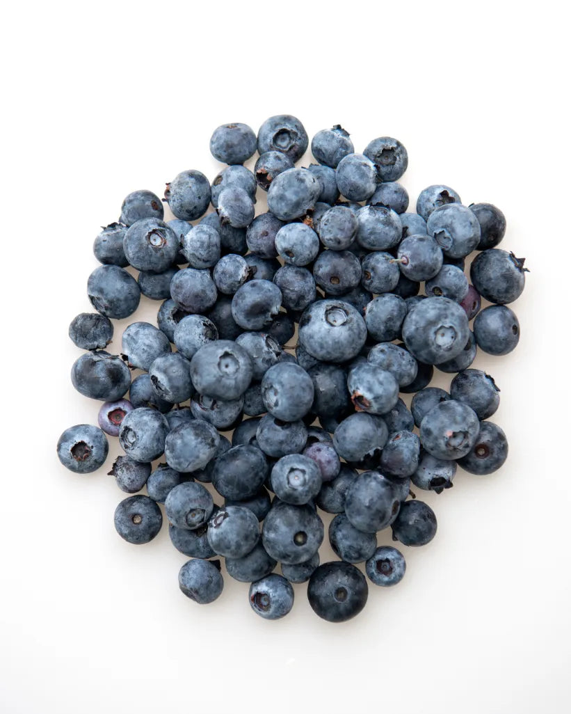 A pile of fresh, whole blueberries, a high-water content fruit sourced from local farmers and flash-frozen for Frozen Garden ready-to-blend smoothies.