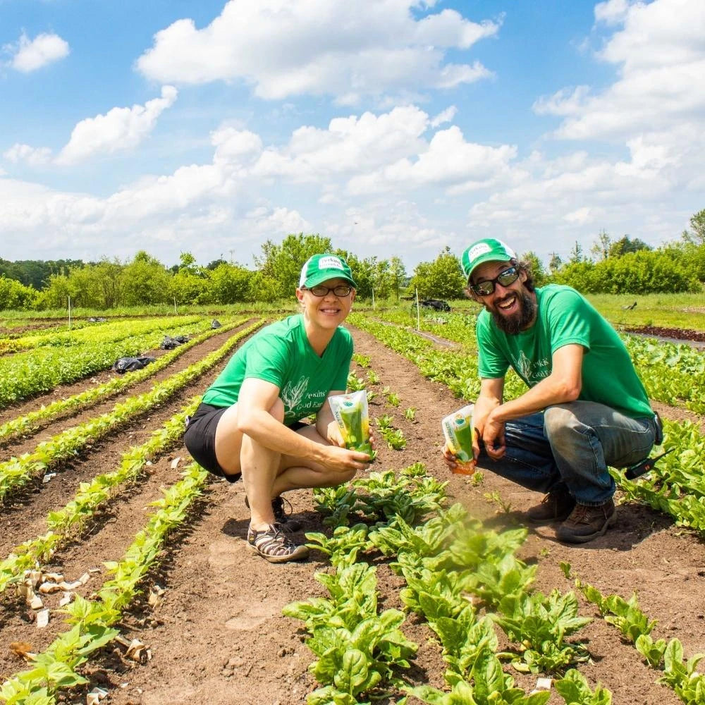 Ingredient Sourcing - Partnering With Local Farmers - Frozen Garden