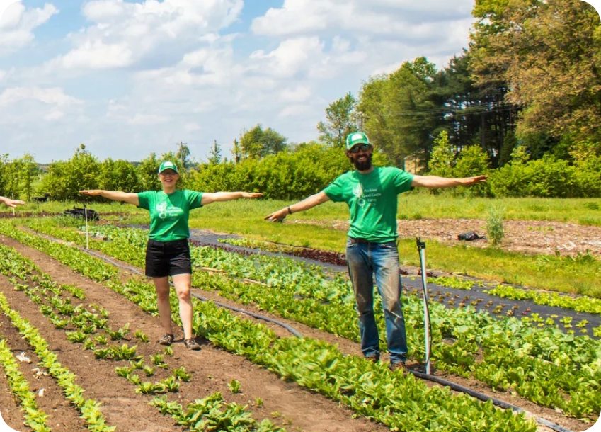 Perkins Good Earth farm in field growing smoothie ingredients.