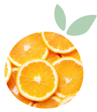 Sliced oranges used in Frozen Garden's frozen smoothie packs