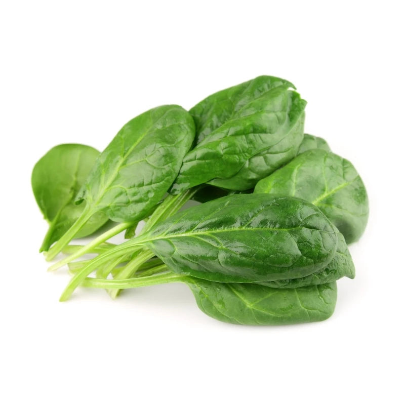 Plant Based - Smoothie Delivery - Vegan Meal Delivery - Frozen Garden
