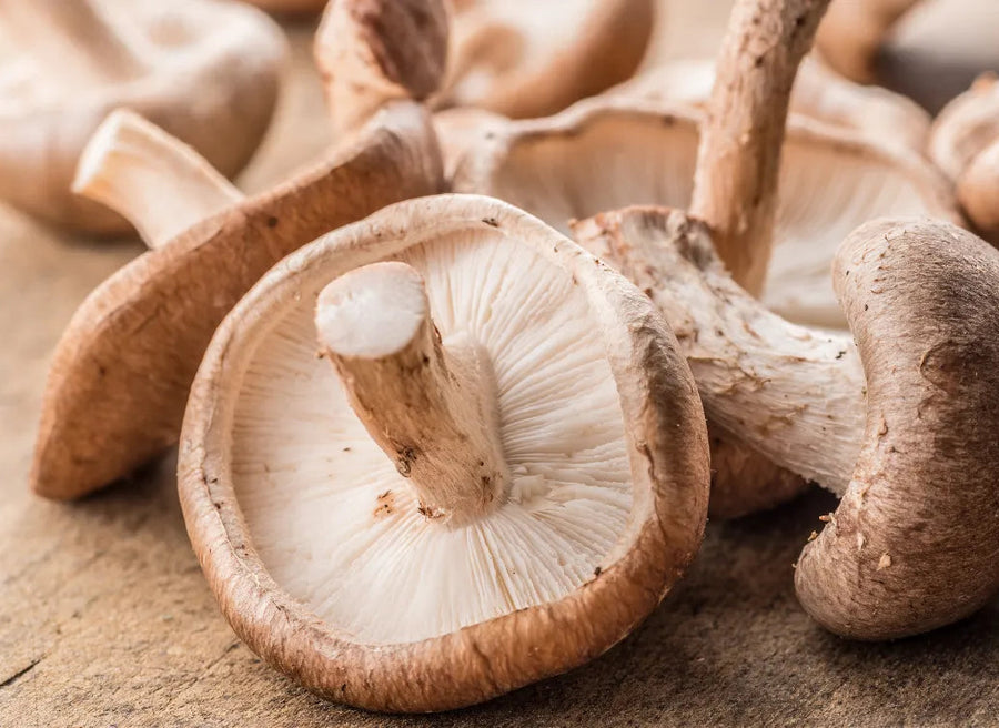 A close-up of fresh shiitake mushrooms resting on a wooden surface.