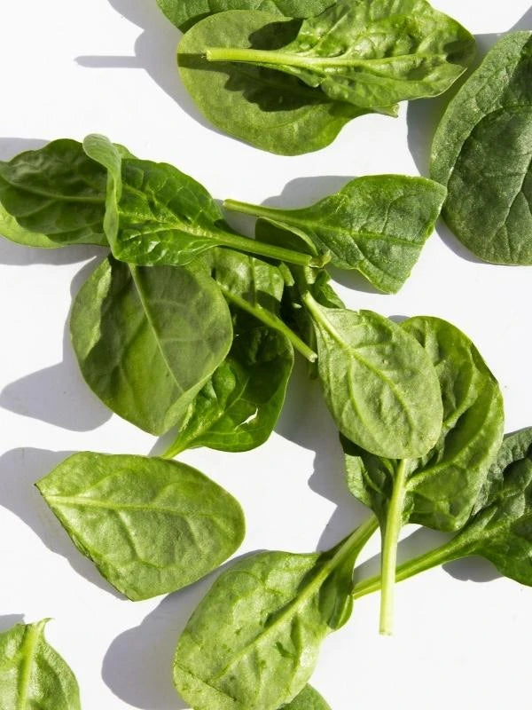 Spinach - Organic Ingredients - Frozen Garden
